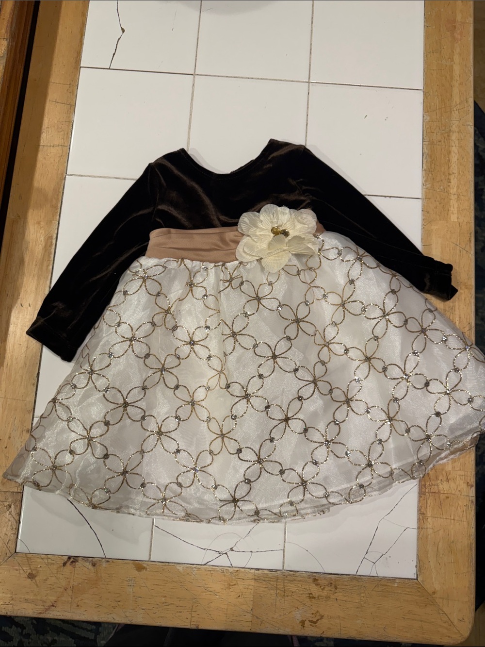 Rare Editions Dark Brown Velvet and Cream Floral Lace Party Dress